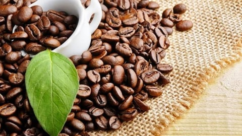 Giá cà phê hôm nay 30/8/2025: Arabica tăng mạnh trở lại