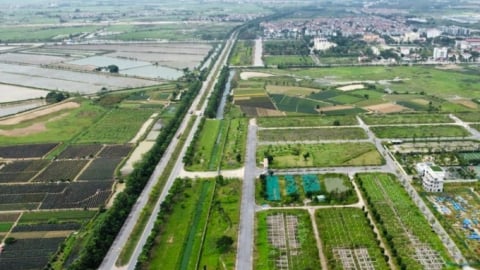 TP.HCM: Kiến nghị tăng giá đất nông nghiệp bằng 65% giá đất ở