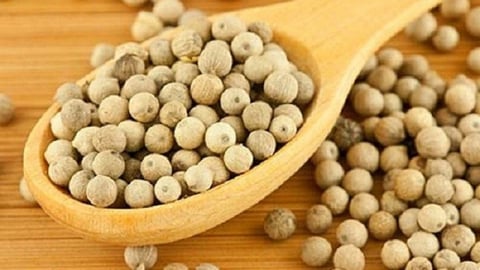 Giá tiêu hôm nay 4/5/2025: Tuần này biến động mạnh