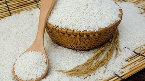 Giá lúa gạo hôm nay 8/9/2025: Thị trường vẫn đứng yên