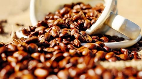 Giá cà phê hôm nay 20/6/2025: Arabica vẫn lao dốc