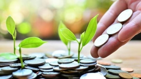 Green credit and principles of environmental risk management
