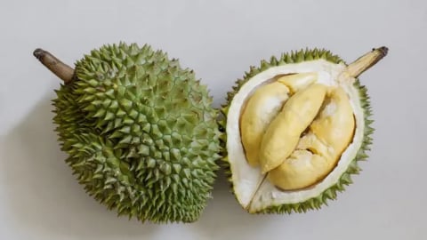 Lào mở rộng diện tích trồng sầu riêng nhằm xuất khẩu sang Trung Quốc