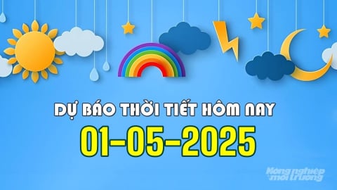 Thời tiết hôm nay 1/5/2025: Mưa dông trong ngày Quốc tế Lao động