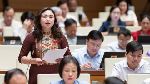 Dạy thêm, học thêm: Cấm ép buộc nhưng cần nhìn từ thực tiễn