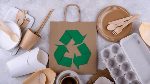 Các xu hướng bao bì bền vững định hình tương lai