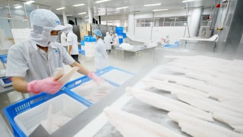 Xuất khẩu thủy sản tăng, thị trường sẽ chuyển dịch mạnh