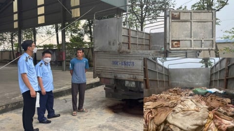 Tiêu hủy 5 tấn da trâu, bò không rõ nguồn gốc