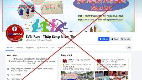 'EVN Run - Thắp Sáng Niềm Tin' giả mạo thương hiệu, logo EVN và EVNPECC4
