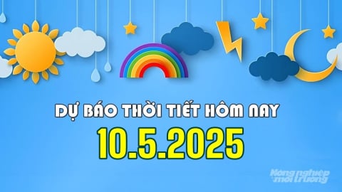 Tin thời tiết hôm nay 10/5/2025: Nhiều nơi mưa to và dông