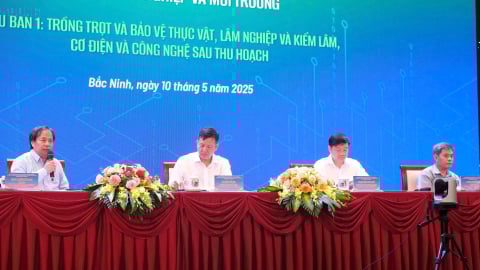 Nghị quyết 57 và giải pháp về chọn tạo giống cây trồng