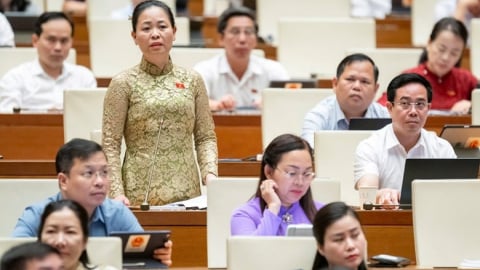 Đề xuất thuế TTĐB nước giải khát có đường: Cần đánh giá tác động đa chiều