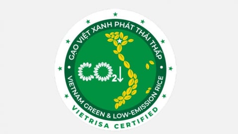 Vietnam green and low-emission rice enters global market