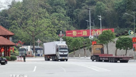 Khai trương tuyến vận tải đường bộ quốc tế Việt - Trung