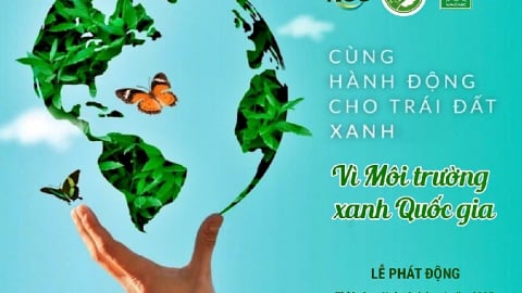 Khu công nghiệp - tác nhân then chốt trong hành trình Net Zero của Việt Nam