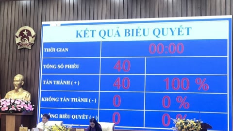 HĐND Quảng Ngãi thông qua 2 nghị quyết liên quan đến đất đai