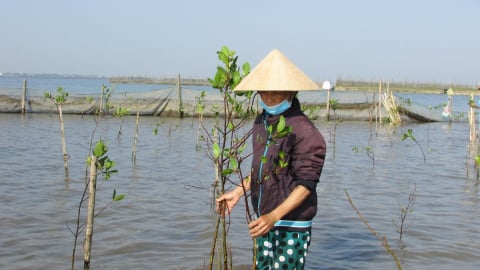 Trao quyền cho phụ nữ trong ứng phó biến đổi khí hậu