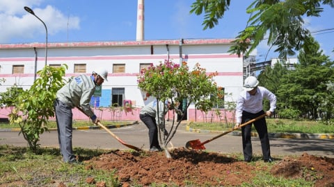 Công ty Nhôm Lâm Đồng phát động trồng cây 'Đời đời nhớ ơn Bác Hồ'