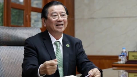Trứng giả hay tin giả?