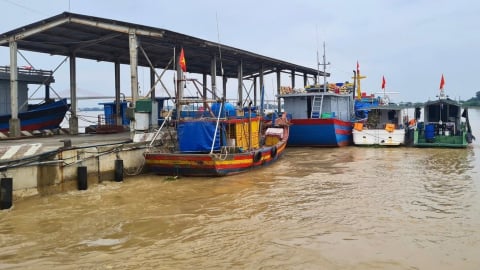 Lý giải thực trạng buồn tại Cảng cá Cửa Hội