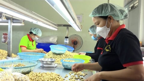 Mở rộng thị trường để doanh nghiệp Việt không bị bỏ lại phía sau