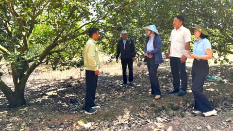 Giữ chất VietGAP sau chứng nhận