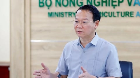 Bộ trưởng Đỗ Đức Duy chủ trì hội nghị phát triển sầu riêng bền vững