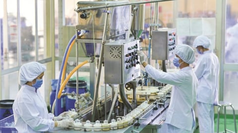 TP.HCM thích ứng biến đổi khí hậu: [Bài cuối] Hình thành 'thành phố xanh'