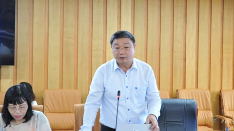 Đánh giá chất lượng, tiềm năng khoáng sản ở Gia Lai và Khánh Hòa