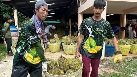 Trung Quốc tăng nhập khẩu sầu riêng 3 tháng liên tiếp