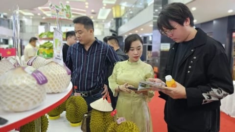 Sầu riêng Việt Nam được gỡ nút thắt, cần quan tâm bài toán chất lượng