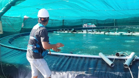 Bến Tre chú trọng phát triển năng lượng sạch và nông nghiệp công nghệ cao