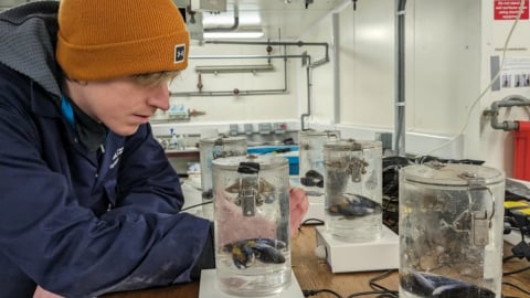 Anh thử nghiệm thu giữ carbon trên biển để ứng phó với biến đổi khí hậu