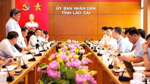 Lào Cai kiến nghị cơ chế mạnh, xử lý tận gốc vi phạm buôn lậu