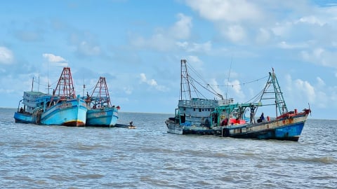 Cà Mau: Tăng tốc thực hiện các nhiệm vụ chống khai thác IUU