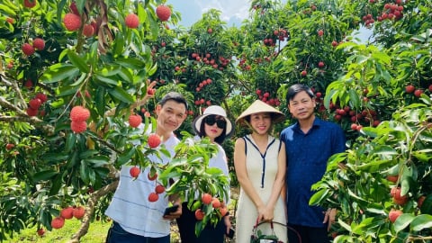 [Bài 4] Đánh thức tiềm năng du lịch trải nghiệm, lan tỏa văn hóa bản địa