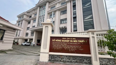 Cà Mau có siêu sở hơn 2.200 người sau hợp nhất