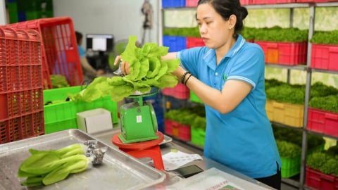 Doanh nghiệp vẫn chưa sẵn sàng thực thi cơ chế CBAM