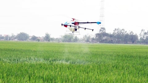 Bắc Ninh: Phấn đấu tỷ trọng nông nghiệp công nghệ cao trên 40% vào năm 2030