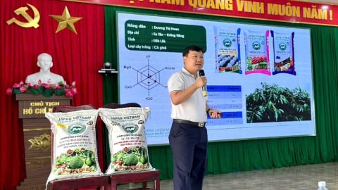 JVF giúp nông dân nhận biết phân bón thật - giả, bón phân đúng & đủ