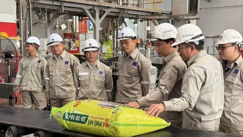 Đạo đức và văn minh ở Đảng bộ PVFCCo
