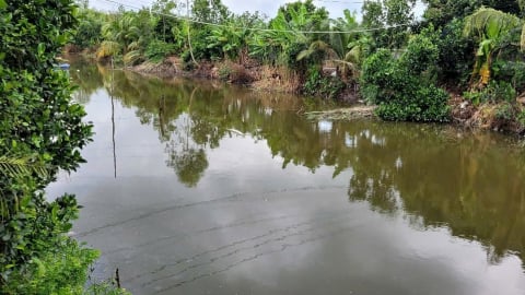 Sẽ xử phạt hành vi đổ vỏ trái cây gây ô nhiễm môi trường