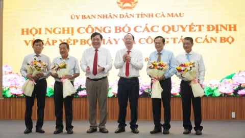 Cà Mau có gần 220 cán bộ nghỉ việc, nghỉ hưu trước tuổi