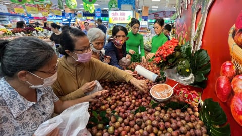 Đặc sản mận hậu Sơn La hút khách tại siêu thị TP.HCM