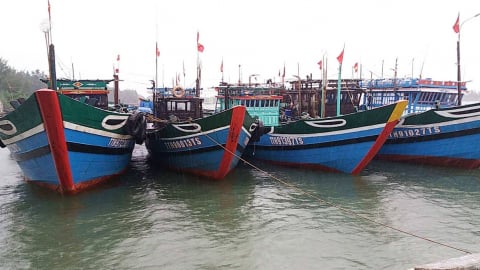 TP Huế: Tránh bão số 1, hơn 8.000 ngư dân đã vào bờ an toàn