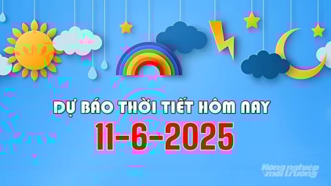 Dự báo thời tiết hôm nay 11/6/2025: Mưa lớn ở Trung Bộ, Tây Nguyên, Nam Bộ