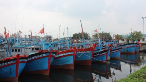 Quảng Ngãi: Kêu gọi tàu thuyền tìm nơi trú tránh bão số 1