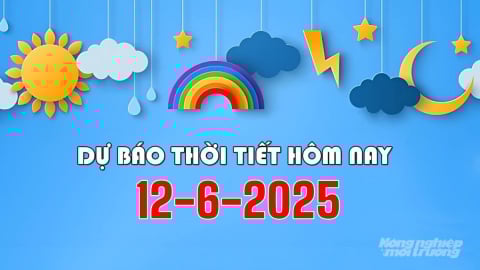 Dự báo thời tiết hôm nay 12/6/2025: Tin bão số 1 trên Biển Đông mới nhất