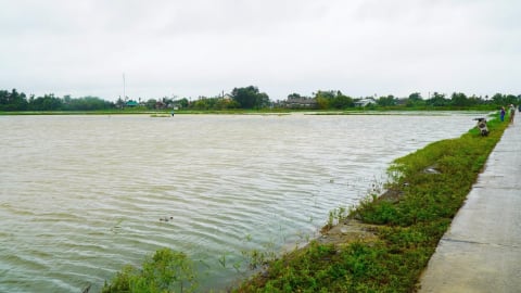 Huế mưa lớn nhất cả nước, hơn 12.500ha lúa và rau màu bị nhấn chìm