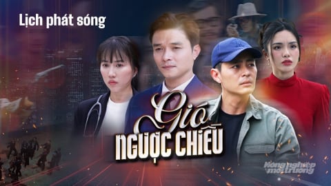 Lịch phát sóng phim Gió ngược chiều trên kênh THVL1